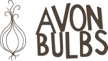 Avon Bulbs logo