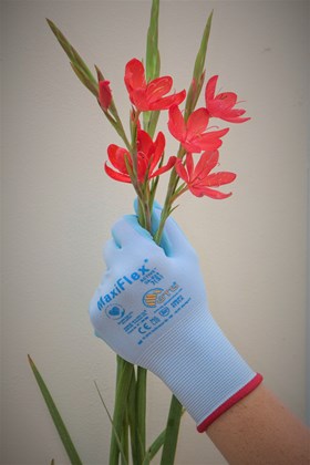 Gardening Gloves Size 7 (red cuff)