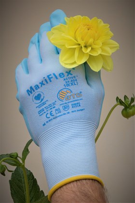 Gardening Gloves Size 10 (yellow cuff)