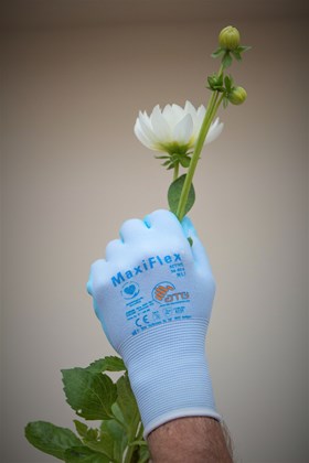 Gardening Gloves size 9 (white cuff)