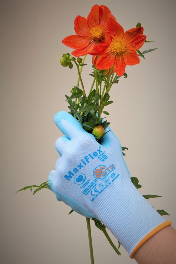 Gardening Gloves Size 8 (orange cuff)