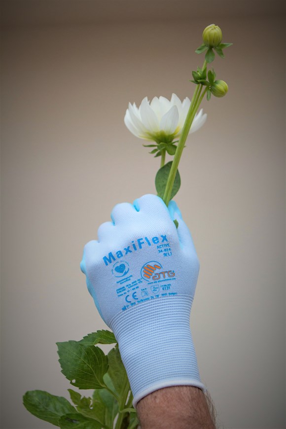 Gardening Gloves size 9 (white cuff)