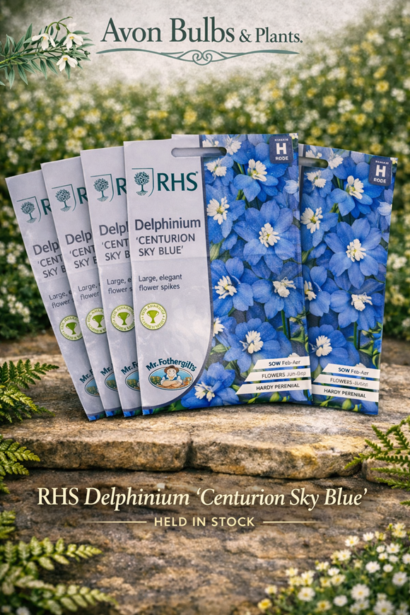 Delphinium ‘Centurion’ Seeds