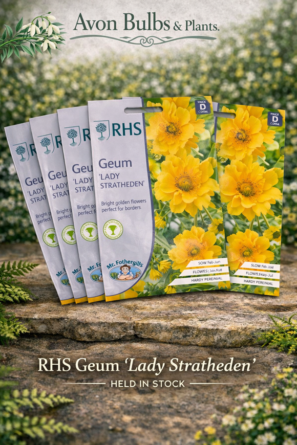 Geum ‘Lady Stratheden’ Seeds