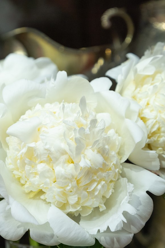Paeonia Bridal Shower
